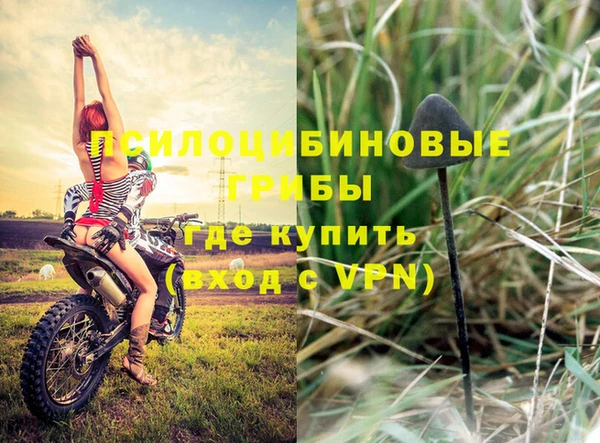 твердый Нягань