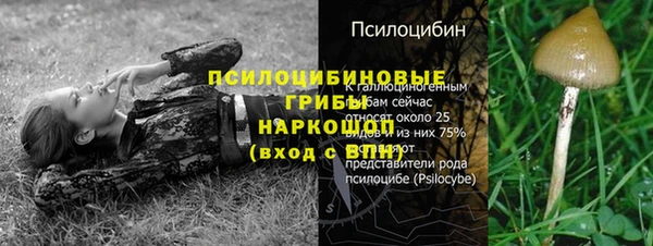 ПСИЛОЦИБИНОВЫЕ ГРИБЫ Остров