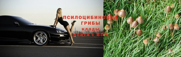 ПСИЛОЦИБИНОВЫЕ ГРИБЫ Остров