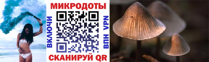 Галлюциногенные грибы мухоморы  Купить  Сосновый Бор 