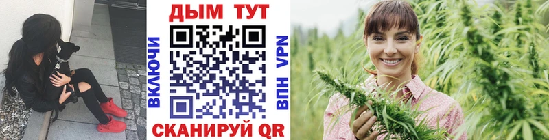 Купить где  Сосновый Бор  Каннабис марихуана 
